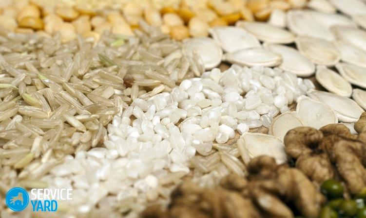 Картина из крупы своими руками