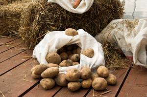 Картошка в домашних условиях и как хранить в разных местах