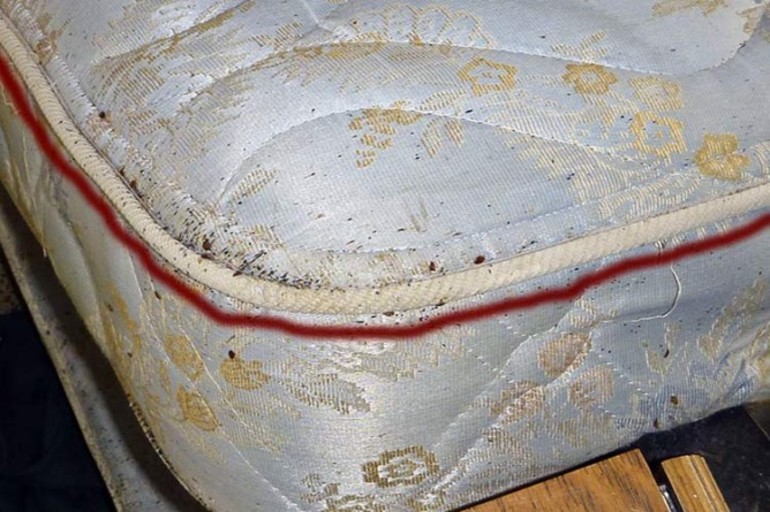 Клопы на матрасах: как вывести домашних паразитов и жить спокойно Клопы на матрасах: как вывести домашних паразитов и жить спокойно