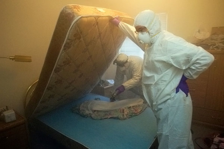 Клопы на матрасах: как вывести домашних паразитов и жить спокойно Клопы на матрасах: как вывести домашних паразитов и жить спокойно