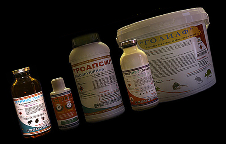 Клопы на матрасах: как вывести домашних паразитов и жить спокойно Клопы на матрасах: как вывести домашних паразитов и жить спокойно