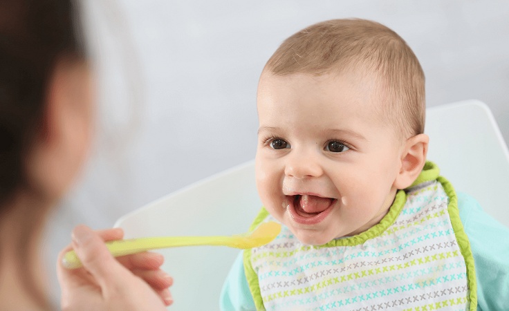 Коли і як вводити м'ясо в прикорм дитині? З якого м'яса починати прикорм: готуємо самі, купуємо м'ясне пюре