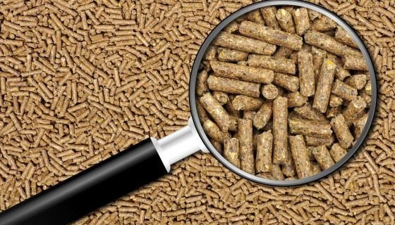 Комбікорм для кроликів: як зробити в домашніх умовах, склад