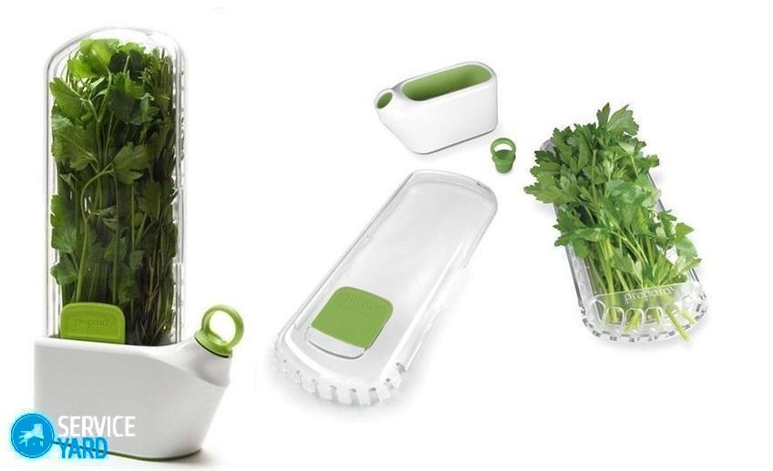 Контейнер для хранения зелени