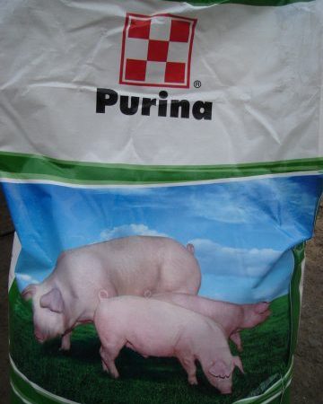 Корм для свиней Пурину (Purina): БВМД, БВМК, склад, відгуки, як давати