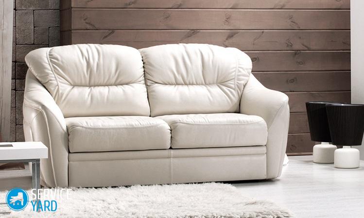 Кот поцарапал кожаный диван — что делать?