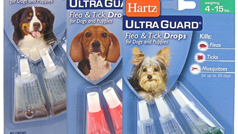 Кращі препарати проти паразитів для собак: список з назвами, склад, дія, застосування