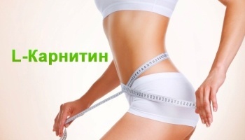 Л-карнітин для схуднення: відгуки, як брати, інструкція із застосування, дозування, результати Л-карнітин для схуднення: відгуки, як брати, інструкція із застосування, дозування, результати