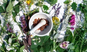 Лікування міоми матки народними засобами без операції Лікування міоми матки народними засобами без операції