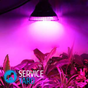 Лампа для растений своими руками