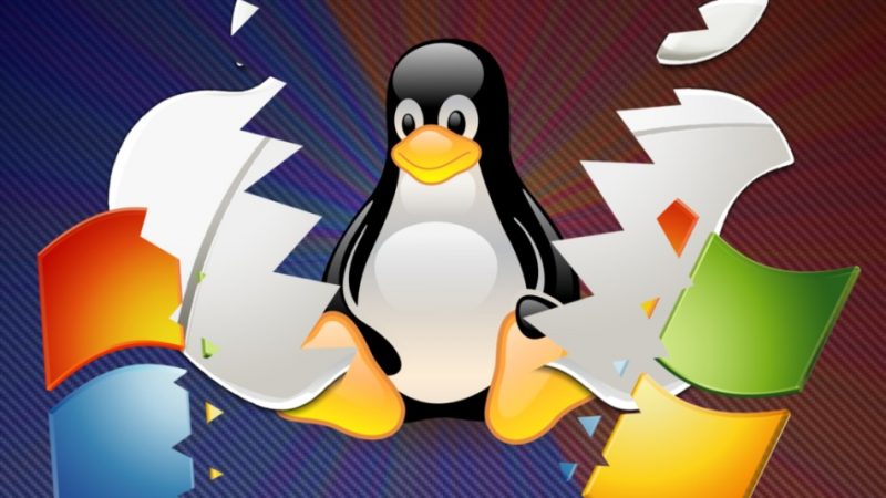 Linux Ubuntu — що це? Як встановити Лінукс Убунту на свій комп'ютер?