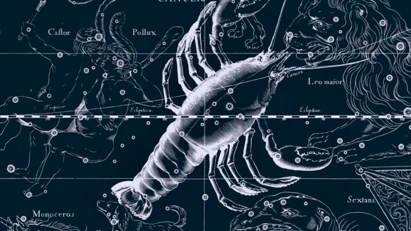 Липень — який знак зодіаку? 22 — 23 липня який знак зодіаку: Лев або Рак?