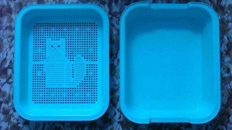Лоток для кішки: як вибрати, який краще? Закритий лоток для кішок, біотуалет