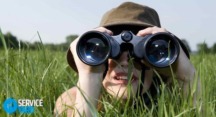 Лучшие бинокли с обзором разных характеристик