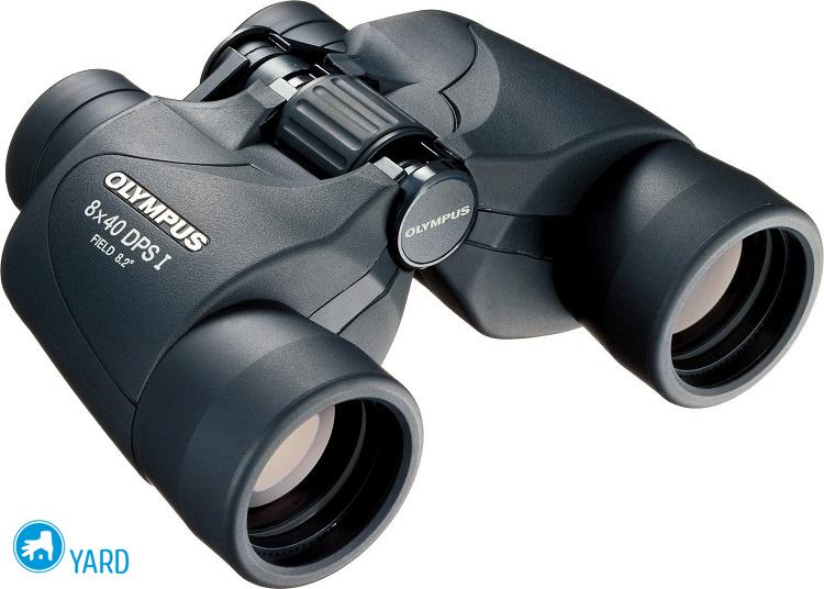 Лучшие бинокли с обзором разных характеристик