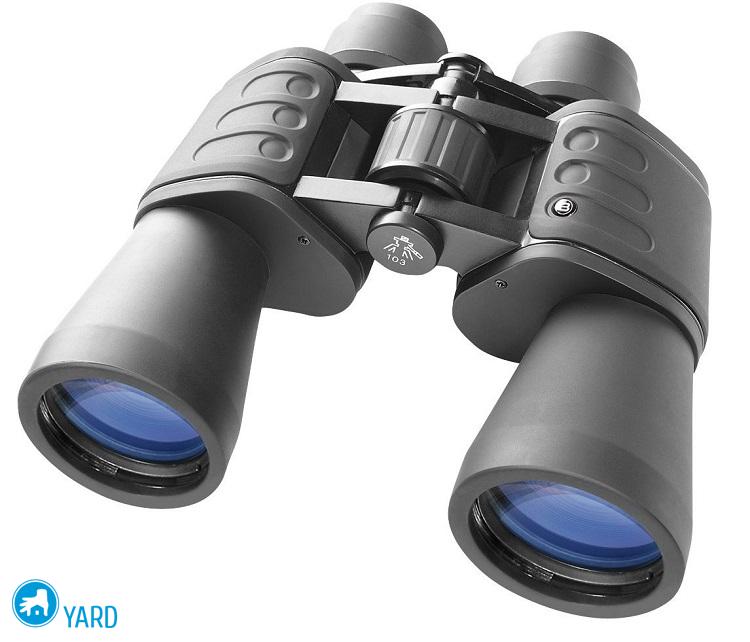 Лучшие бинокли с обзором разных характеристик