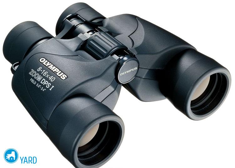 Лучшие бинокли с обзором разных характеристик