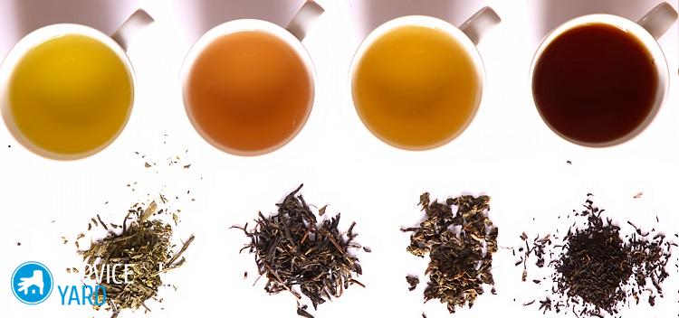 Лучшие сорта кофе и чая