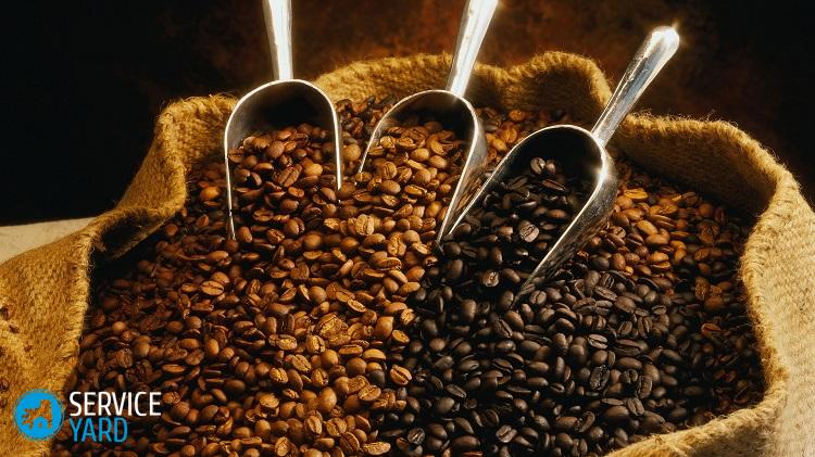 Лучшие сорта кофе и чая