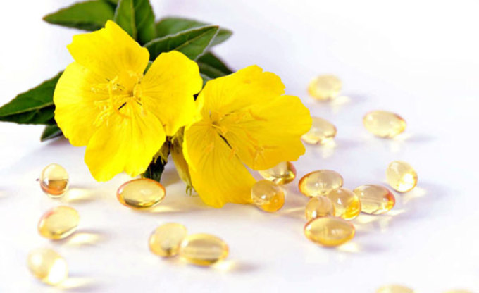 Масло вечірньої примули: корисні властивості для жінок, склад і протипоказання. Як приймати, пити масло примули при вагітності і перед пологами: інструкція