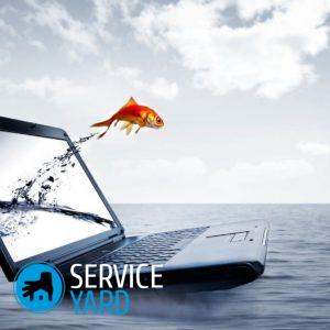 Матовый или глянцевый экран ноутбука лучше?