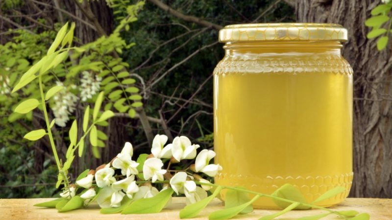 Мед акації: корисні властивості, протипоказання, калорійність. Мед білої та жовтої акації при цукровому діабеті і для зору