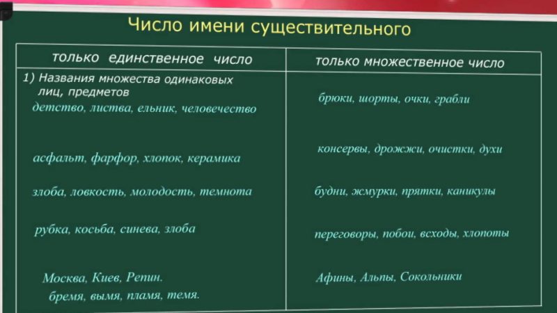 Іменник ГОЙДАЛКИ — відмінювання за відмінками, зміна за числами. Слово ГОЙДАЛКИ — множина чи однина? Слово ГОЙДАЛКИ якого роду в російській мові?