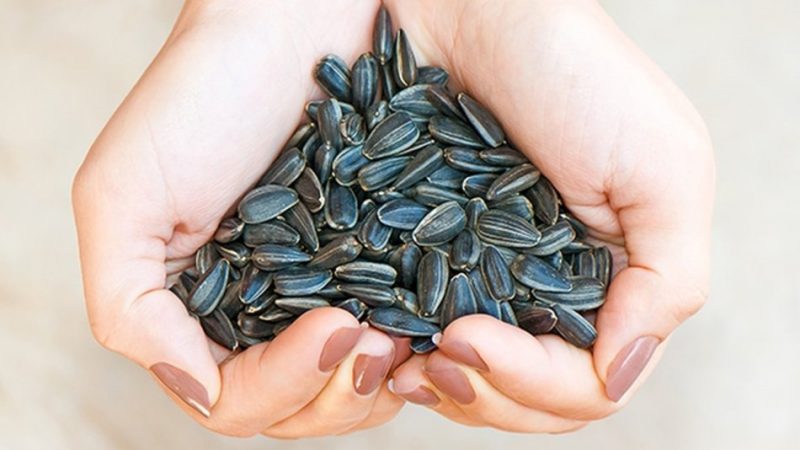 Можна їсти сирі та смажені соняшникове, гарбузове, кунжутне насіння, козинаки годуючій мамі при грудному вигодовуванні?