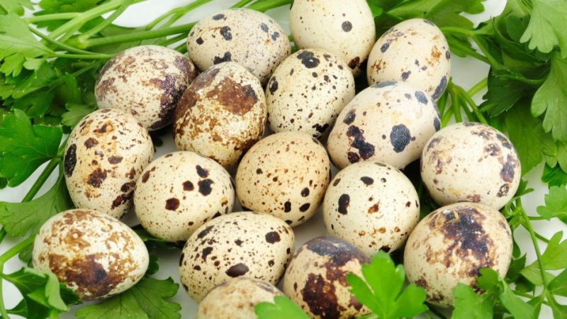 Можна їсти яйця при годуванні немовляти грудним молоком? Можна годуючій мамі їсти варені, смажені курячі і перепелині яйця?