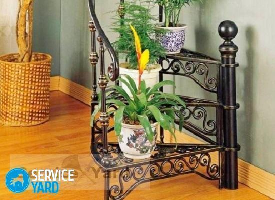 Мухи в цветочных горшках — как избавиться?