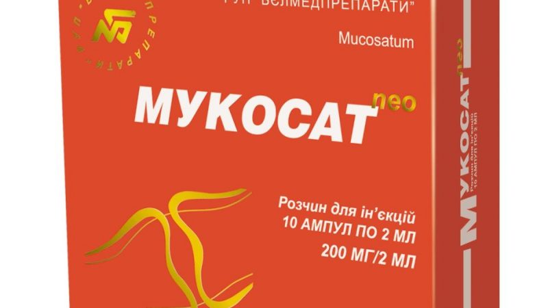 Мукосат — інструкція по застосуванню: властивості і ефективність, показання, протипоказання, дозування