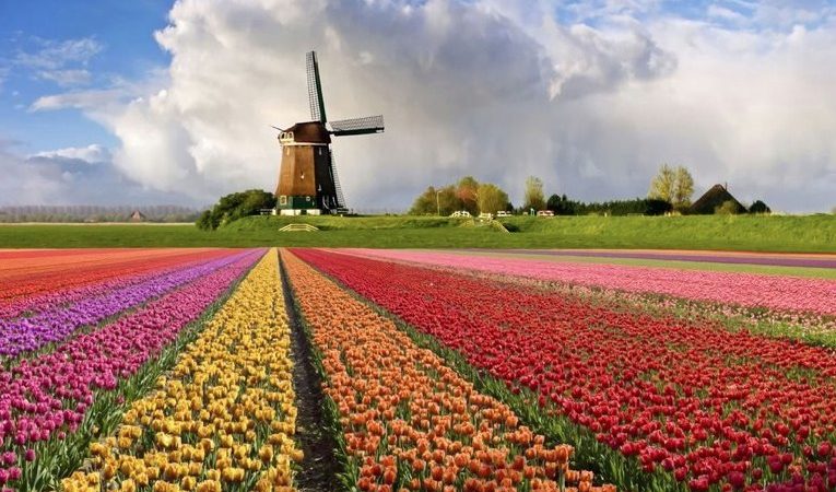 Нідерланди і Голландія: в чому різниця?