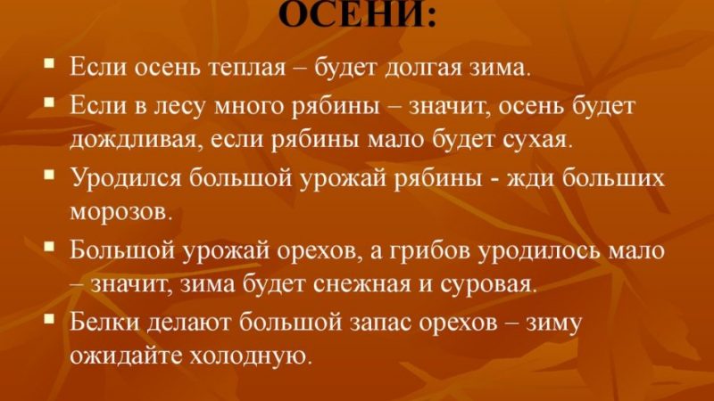 Народні прикмети осені ранньої, пізньої, теплою, холодною, погоди восени, осінні прикмети на зиму для дітей, дошкільнят, школярів: слова