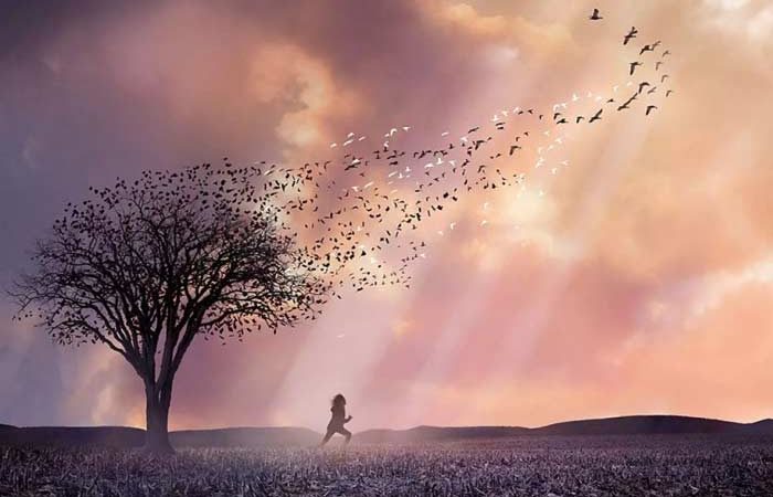 Народні прикмети про погоду, календар передбачень на весь рік