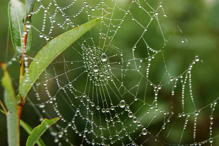Народні прикмети про погоду, календар передбачень на весь рік