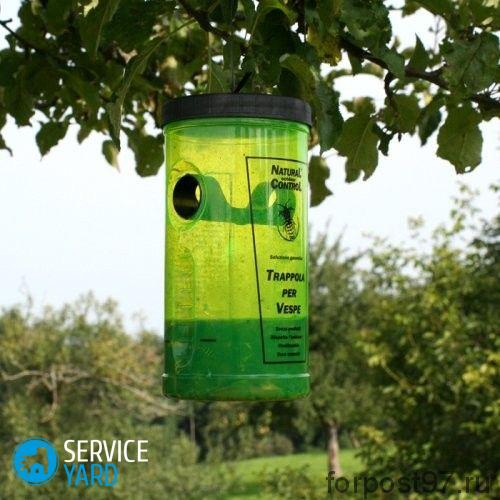 Насекомые в доме ? борьба и травля жучков, уничтожение букашек, тараканов и вредителей