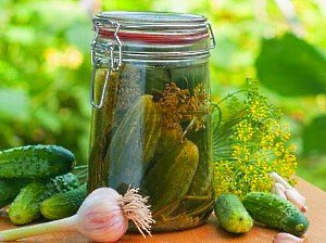 Найкращі сорти огірків для засолювання і консервування