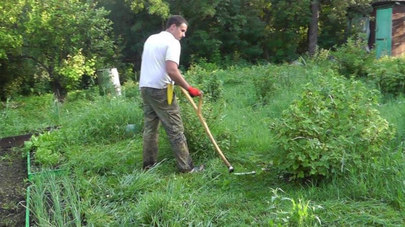 «Найшла коса на камінь»: значення фразеологізму