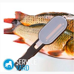 Нож для чистки рыбы