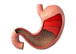 Обстеження шлунка за допомогою зонда — як підготуватися до гастроскопії