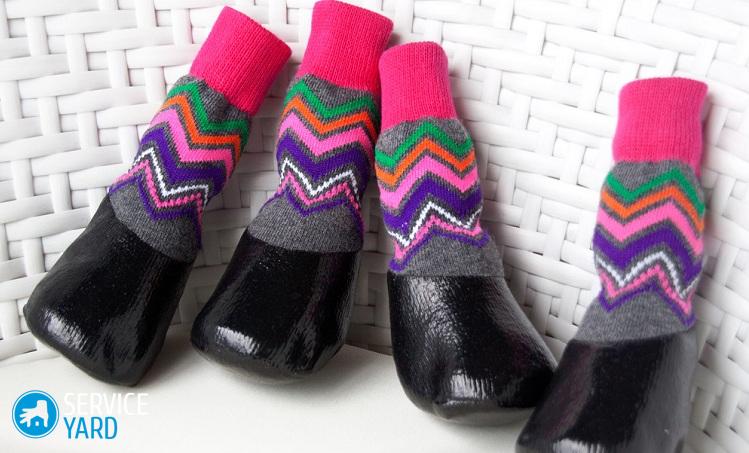 Обувь для собак своими руками — выкройки