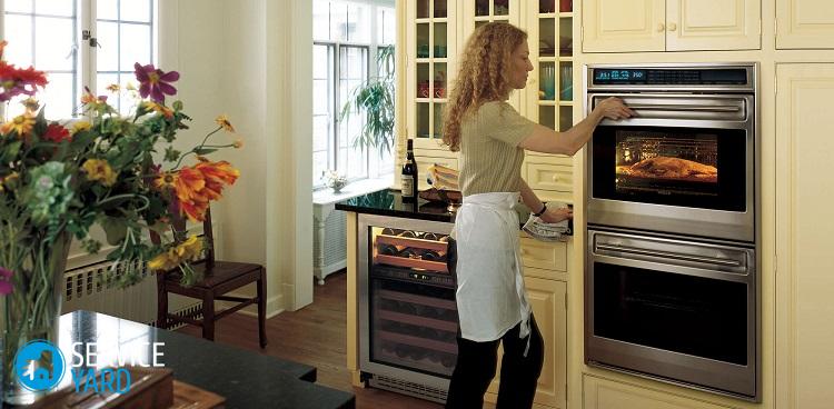 Очистка духового шкафа — какая лучше?