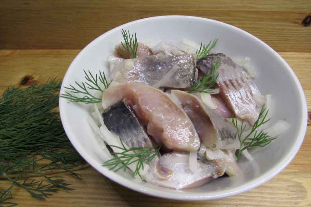 Оселедець, маринований в домашніх умовах: з цибулею та оцтом, по-голландськи