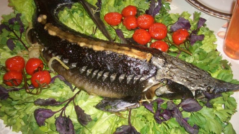 Осетер, запечений в духовці цілком: секрети приготування, рецепт з часником, овочами, соком лимона, в фользі, осетрина по-царськи