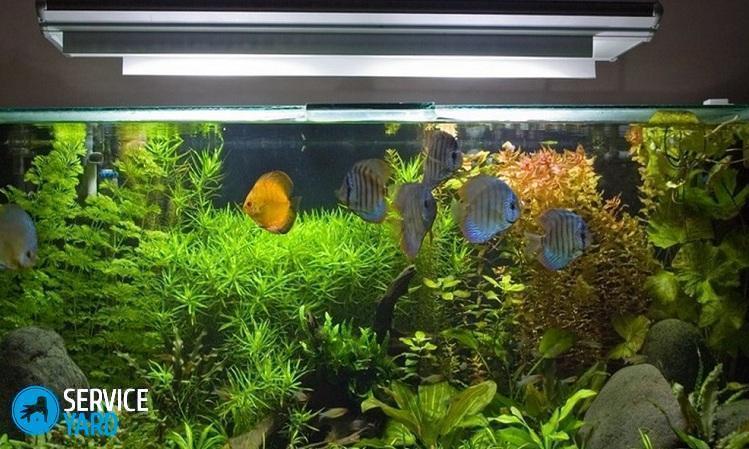 Освещение для аквариума своими руками