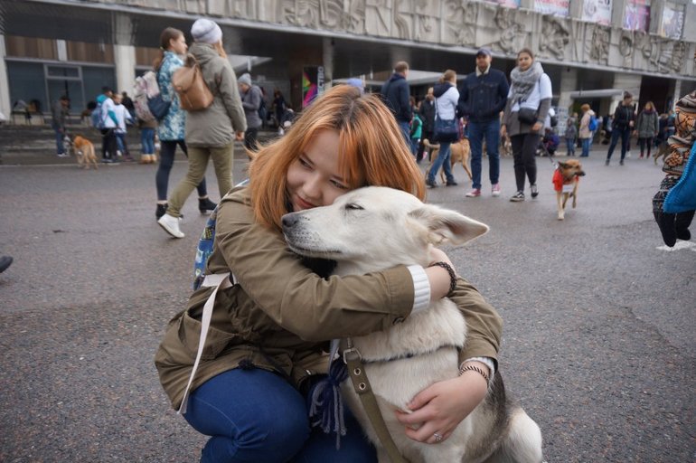 Откуда берутся блохи в квартире и как от них избавиться Откуда берутся блохи в квартире и как от них избавиться