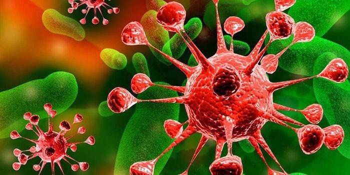 Ознаки оофрита — симптоми, лікування медикаментозними і народними засобами