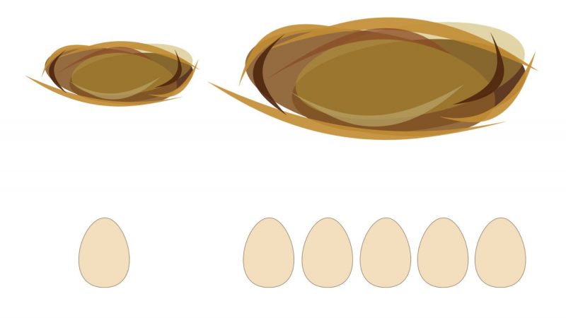 Підбірка ігор та вправ на тему «Птахи»