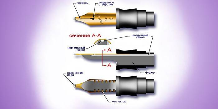 Пір’яна ручка — як користуватися, пристрій і види, як правильно вибрати по бренду і вартості