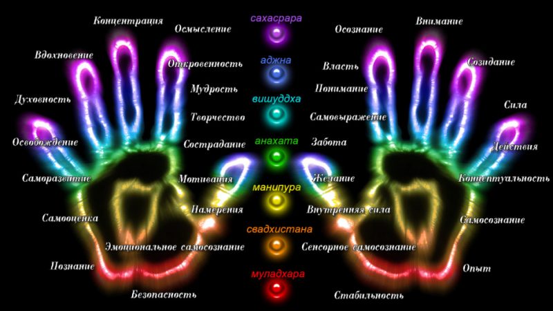 Пальці на руках: взаємозв'язок з енергетикою людини. Які пальці на руках відповідають за психічний і емоційний стан?